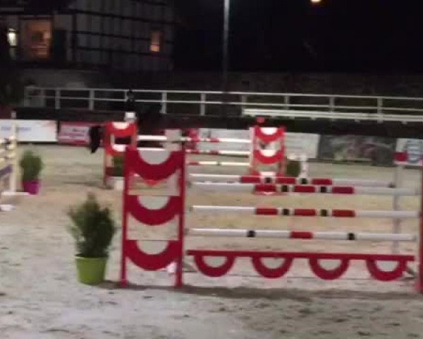 Reitturnier Nörten-Hardenberg 2015