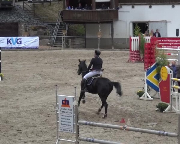 Großes Springturnier Siegen 2015
