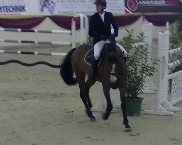 Video of Coraggiosa 2