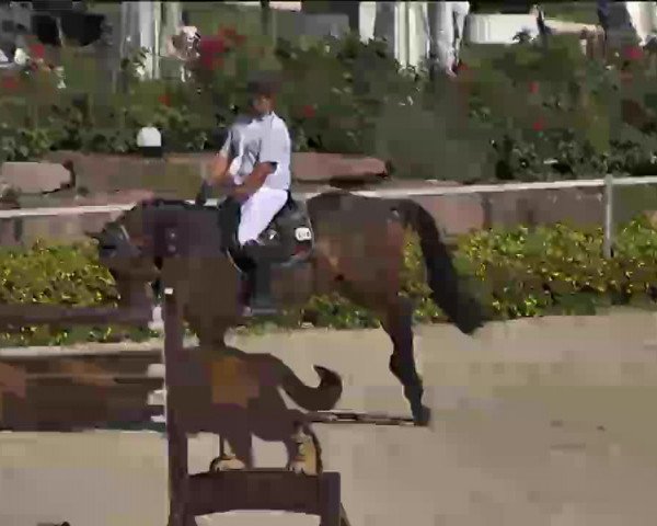 Reitturnier Waldachtal-Heiligenbronn 2015