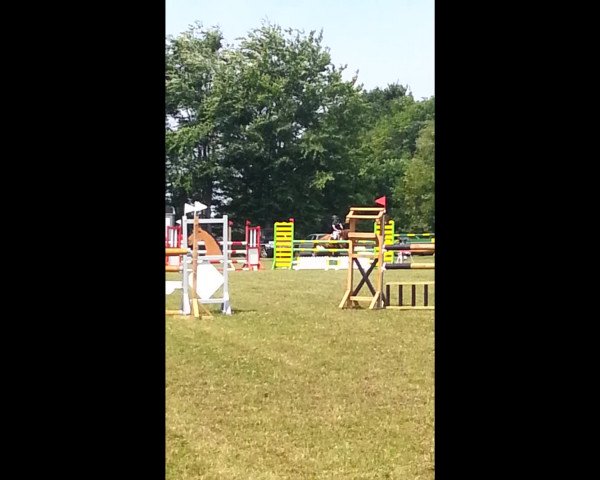 Video of Soniador 2