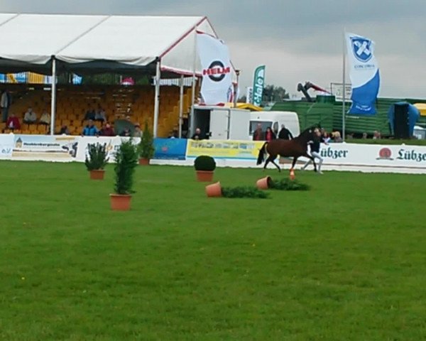 Video of Chanel
