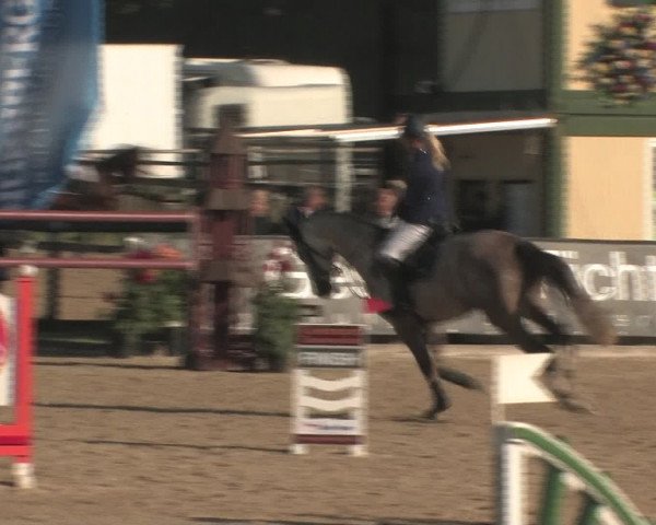 Reitturnier Kirchstockach 2015