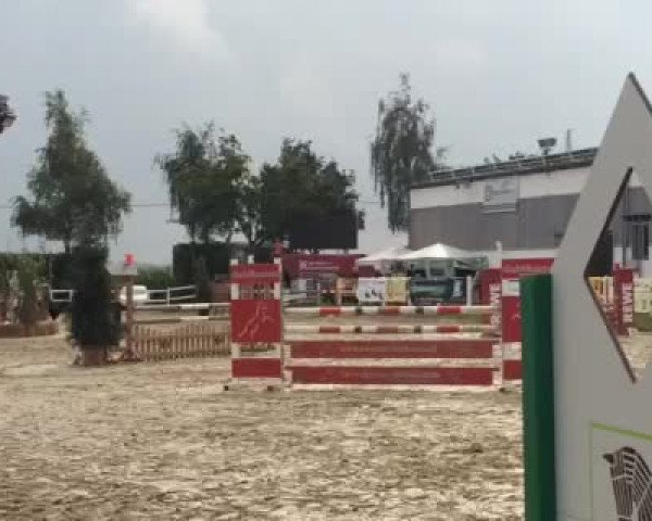 Reitturnier Dortmund-Brechten 2015