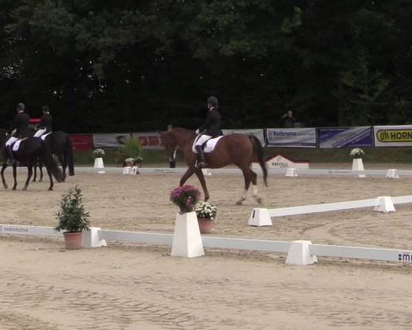 Video di fennek, da-vinci-149, veronice-2
