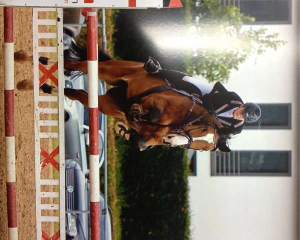 Springpferd River Dance 7 (Hannoveraner, 1997, von Ramiro's Son II)