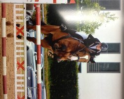jumper River Dance 7 (Hanoverian, 1997, from Ramiro's Son II)