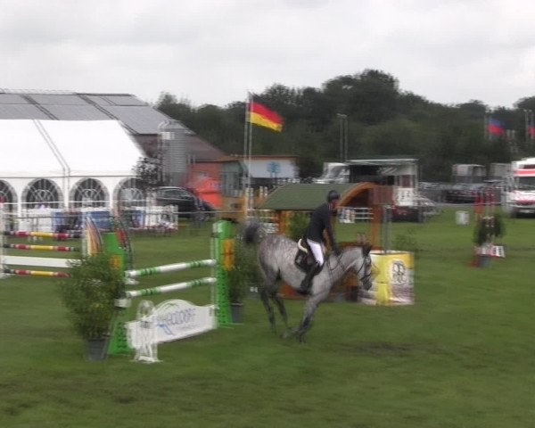 Reitturnier Holdorf 2015