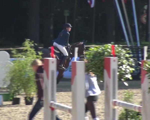 Wickrather Reitertage 2015