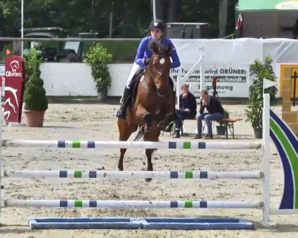 jumper Los Alamos Ck (Bavarian, 2002, from Lord Pezi)