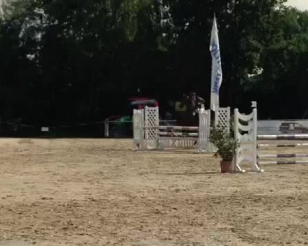 Video von Gräfin