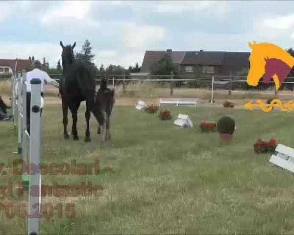 Video of Dorian