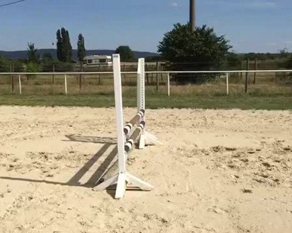 Video von Mr.Surprise 2