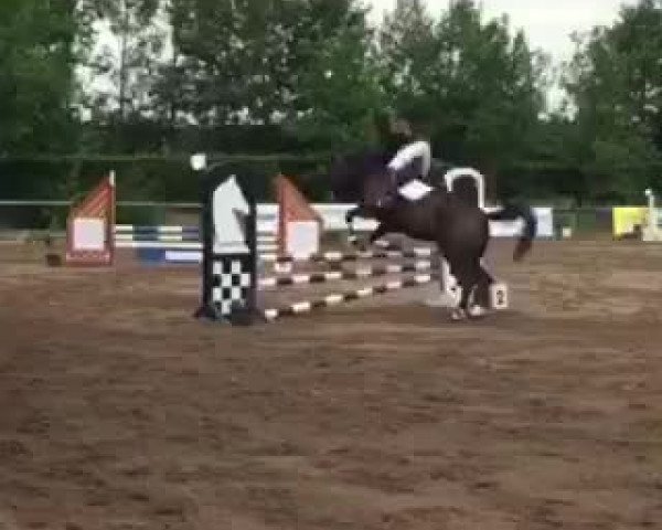 Video di Tosca 320