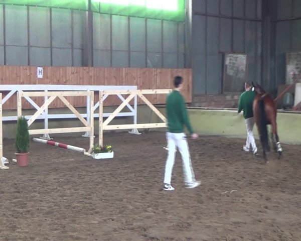 Video von Colata M
