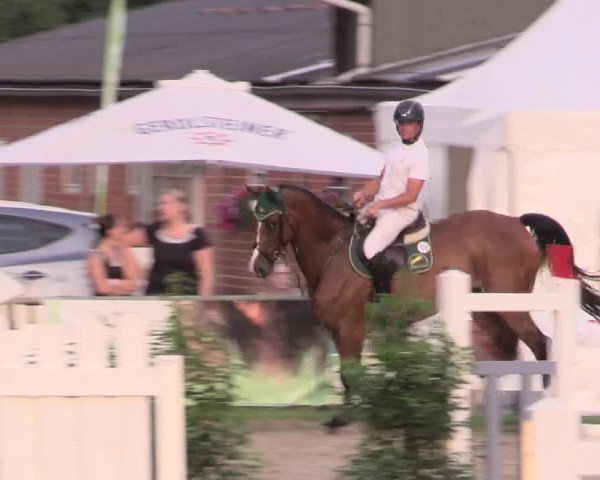 Reitturnier Datteln 2015