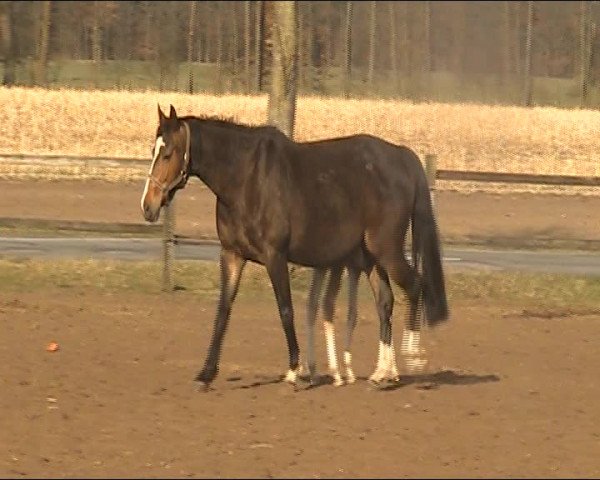 Video of Ricarda