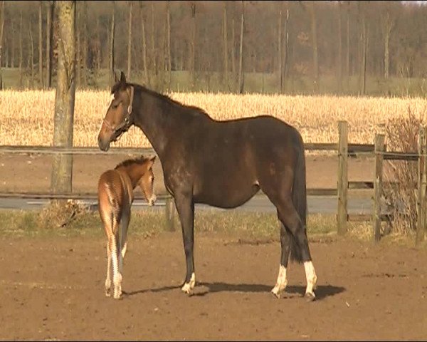 Video of Ricarda