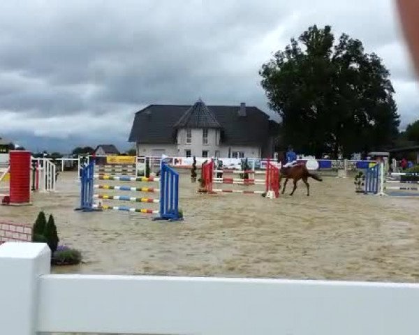 Video of Excalibur K