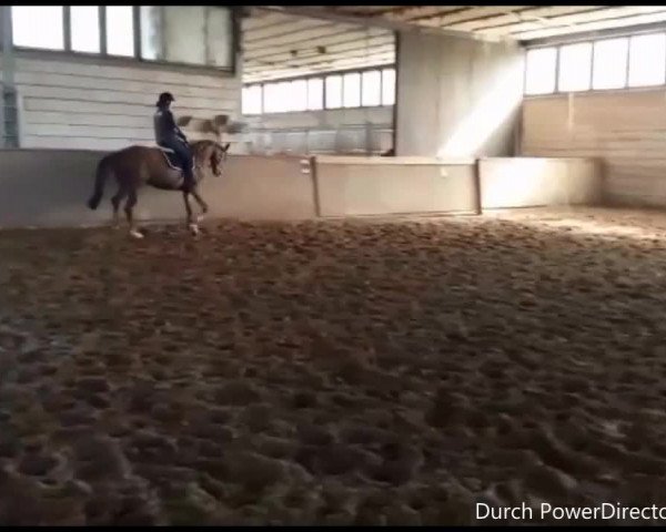 Video of Neyruby