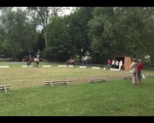 Video of Sir Marshal