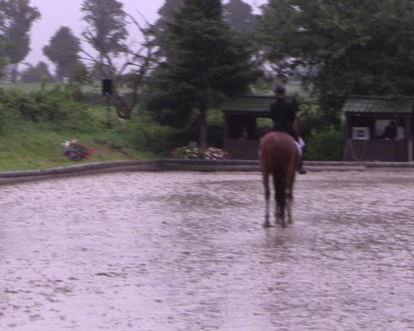 Reitturnier Datteln 2015