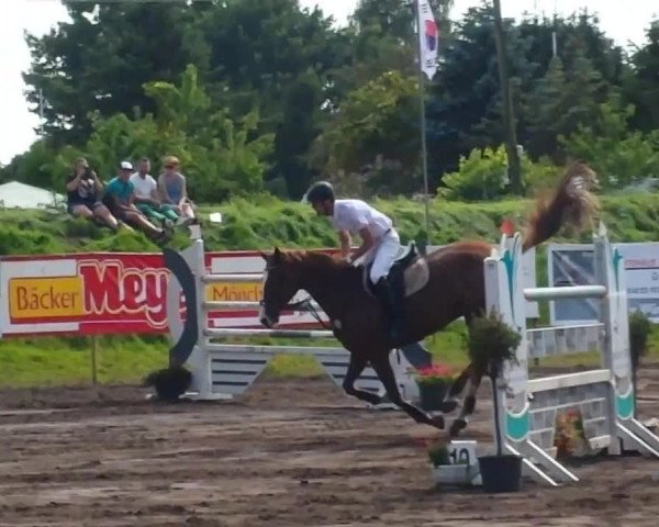 Video of Cashmere Touch