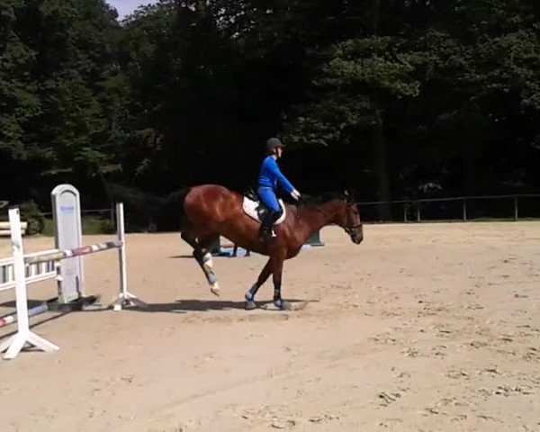 Video von Picadilly E