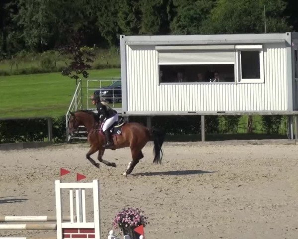 Reitturnier Monschau-Mützenich 2015