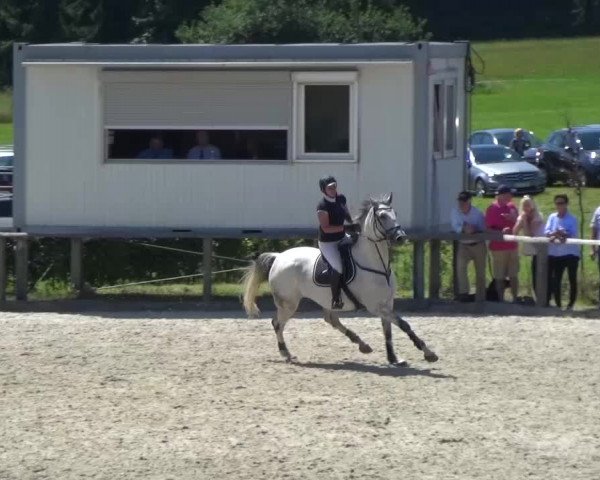 Reitturnier Monschau-Mützenich 2015