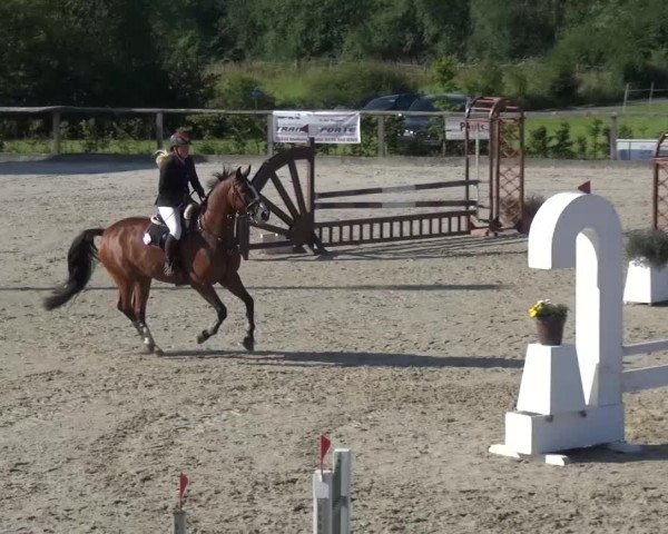 Reitturnier Monschau-Mützenich 2015