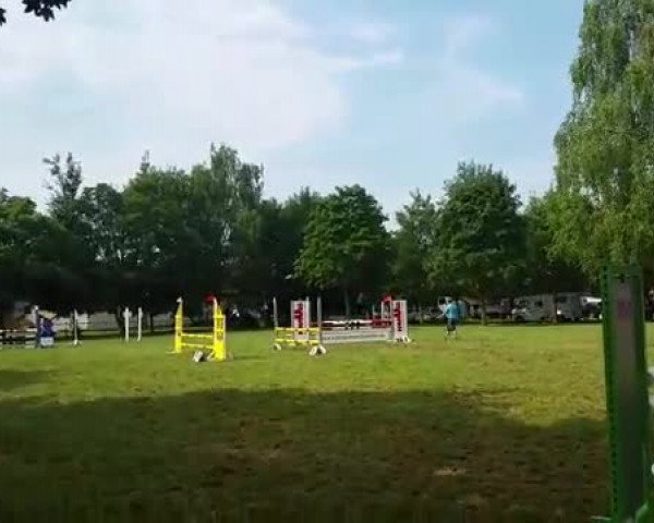 Video of Escada JK