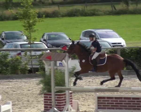Reitturnier Monschau-Mützenich 2015