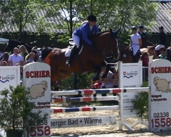 Springpferd Utopia 57 (Anglo Europäisches Sportpferd, 2005, von Urville van de Rietvenne)