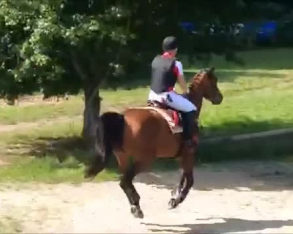 Video of Chrisbee W