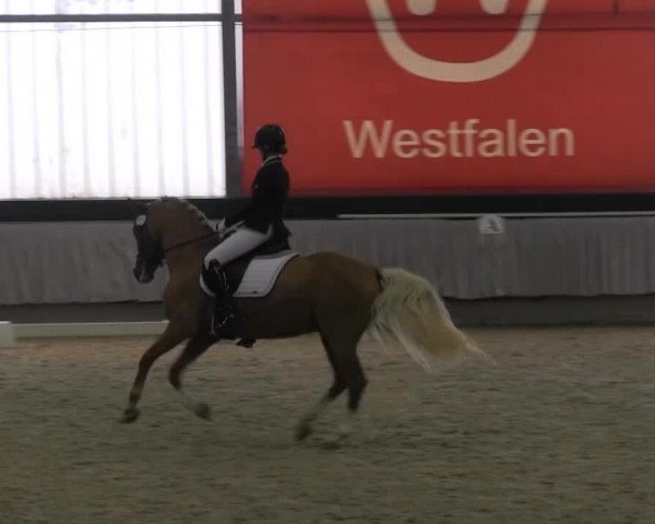 Westfalen-Woche 2015