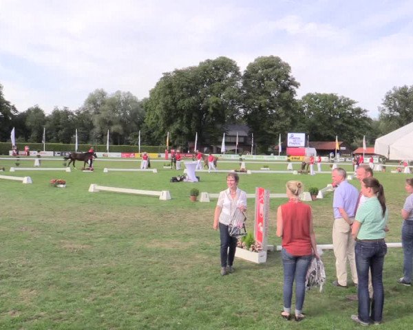 48. Westfälische Eliteschau, 02.08.2015, Reitpony- und Kleinpferdestuten,
Endring Reitponystuten
Rangierung