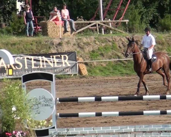 Reitturnier Neuss-Uedesheim 2015