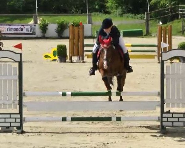 jumper Paddy 57 (Rhinelander, 1994, from Pessoa)
