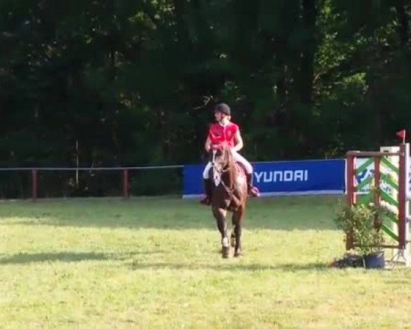 Video of Graf Günther 4