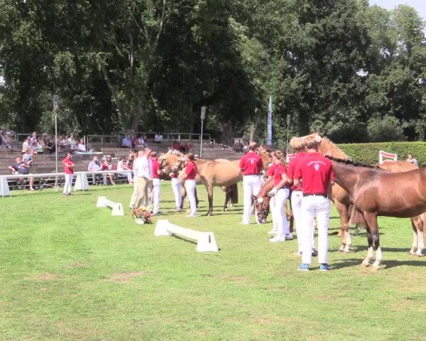48. Westfälische Eliteschau, 02.08.2015, Reitpony- und Kleinpferdestuten,
Ring 1 Reitponystuten
Ehrung