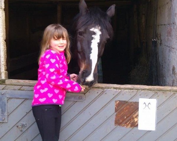 broodmare Robina 26 (Hanoverian, 1997, from Rabino)