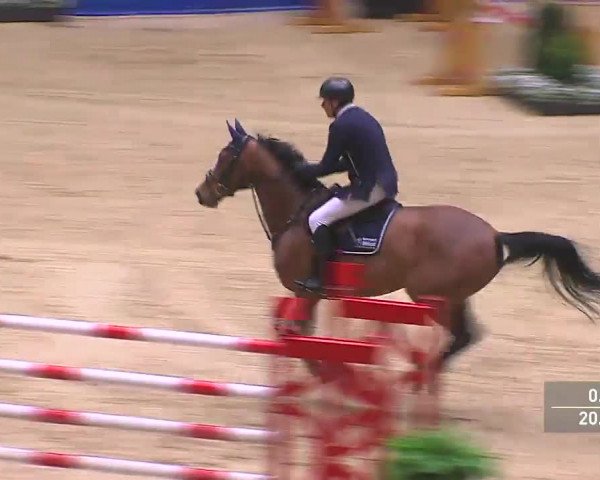 Video of Bien Aimee de la Lionne