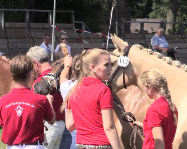 48. Westfälische Eliteschau, 02.08.2015, Reitpony- und Kleinpferdestuten,
Ring 2 Reitponystuten
Ehrung