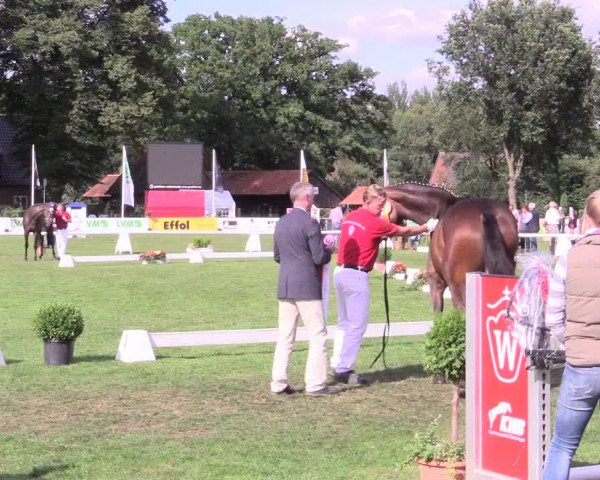 50. Westfälische Eliteschau, 31.07.2015
Endring Springstuten
Ehrung