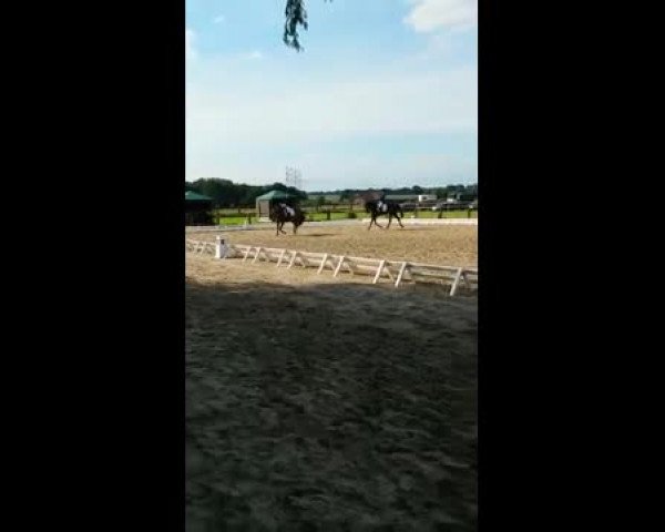 Video von Fabulus G.I.H