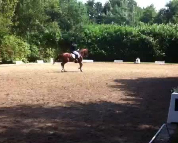Video di Pijou B