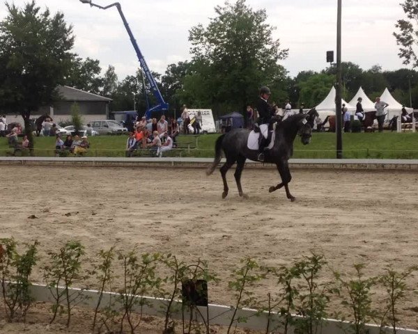 Video of De Nira