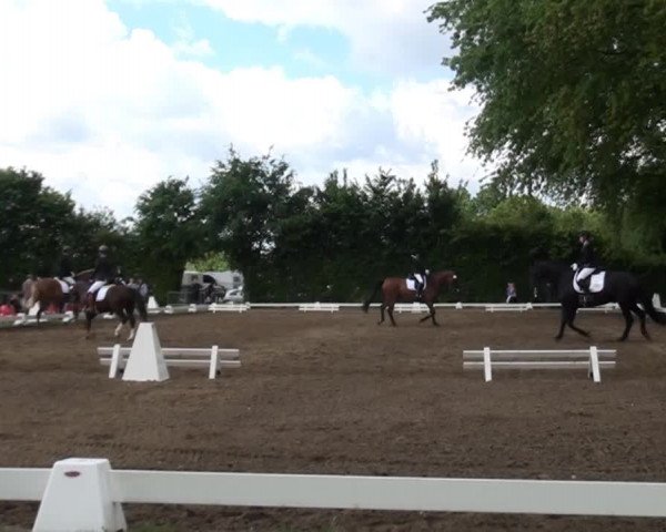 Reitturnier Willich-Anrath-Neersen 2015