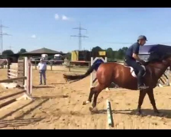 Video of Chajuba B II